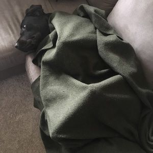 Meet your Posher, Patrick